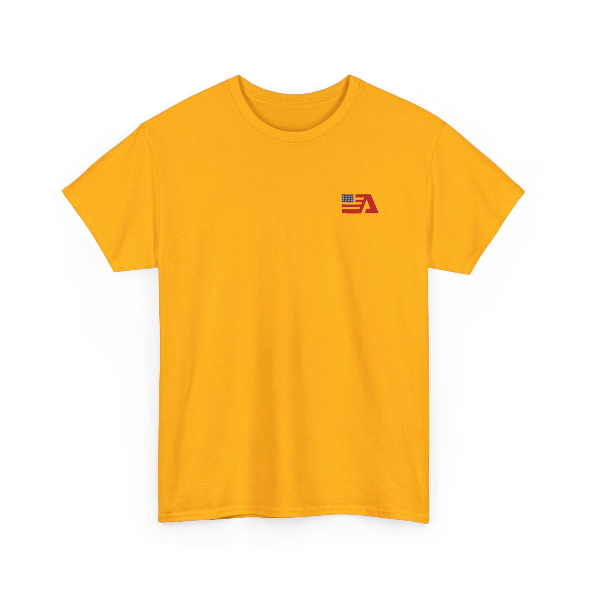 America Graphic Tee — Gildan 5000