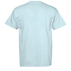 CHAMBRAY - C1717 - BACK